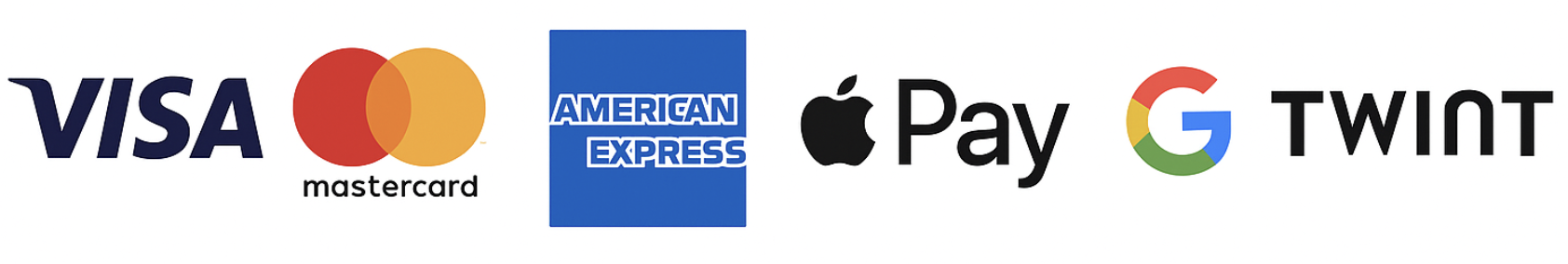 Zahlungsmethoden: Visa, Mastercard, American Express, Apple Pay, Google Pay und TWINT